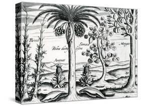Landscape from 'India Orientalis', 1598-Theodore de Bry-Stretched Canvas