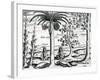 Landscape from 'India Orientalis', 1598-Theodore de Bry-Framed Giclee Print