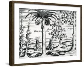 Landscape from 'India Orientalis', 1598-Theodore de Bry-Framed Giclee Print