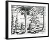 Landscape from 'India Orientalis', 1598-Theodore de Bry-Framed Giclee Print