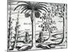 Landscape from 'India Orientalis', 1598-Theodore de Bry-Mounted Giclee Print