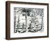 Landscape from 'India Orientalis', 1598-Theodore de Bry-Framed Giclee Print