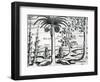 Landscape from 'India Orientalis', 1598-Theodore de Bry-Framed Giclee Print