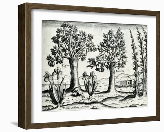 Landscape from 'India Orientalis', 1598-Theodore de Bry-Framed Giclee Print