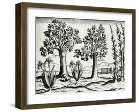 Landscape from 'India Orientalis', 1598-Theodore de Bry-Framed Giclee Print