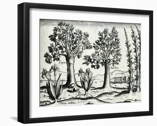 Landscape from 'India Orientalis', 1598-Theodore de Bry-Framed Giclee Print