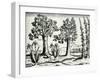 Landscape from 'India Orientalis', 1598-Theodore de Bry-Framed Giclee Print