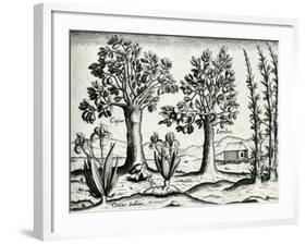 Landscape from 'India Orientalis', 1598-Theodore de Bry-Framed Giclee Print