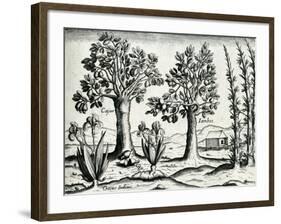 Landscape from 'India Orientalis', 1598-Theodore de Bry-Framed Giclee Print