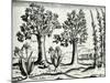 Landscape from 'India Orientalis', 1598-Theodore de Bry-Mounted Giclee Print