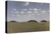 Landscape from Lejre, 1905-Vilhelm Hammershoi-Stretched Canvas