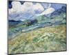 Landscape from Saint-Remy, 1889-Vincent van Gogh-Mounted Art Print