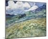 Landscape From Saint Rémy-Vincent Van Gogh-Mounted Giclee Print