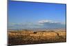 Landscape from Scenic Route to Los Alamos, New Mexico, USA-Massimo Borchi-Mounted Photographic Print