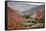 Landscape from the Camino De Los Colorados Trail around Purmamarca-Yadid Levy-Framed Stretched Canvas