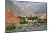 Landscape from the Camino De Los Colorados Trail around Purmamarca-Yadid Levy-Mounted Photographic Print