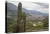 Landscape from the Valles Calchaquies on the Road Between Cachi and Salta-Yadid Levy-Stretched Canvas