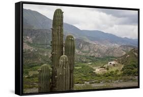 Landscape from the Valles Calchaquies on the Road Between Cachi and Salta-Yadid Levy-Framed Stretched Canvas