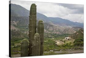 Landscape from the Valles Calchaquies on the Road Between Cachi and Salta-Yadid Levy-Stretched Canvas