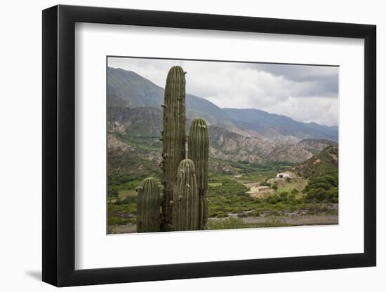 Landscape from the Valles Calchaquies on the Road Between Cachi and Salta-Yadid Levy-Framed Photographic Print