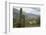 Landscape from the Valles Calchaquies on the Road Between Cachi and Salta-Yadid Levy-Framed Photographic Print