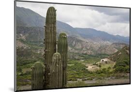 Landscape from the Valles Calchaquies on the Road Between Cachi and Salta-Yadid Levy-Mounted Photographic Print