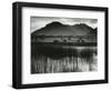 Landscape, Germany, 1960-Brett Weston-Framed Photographic Print