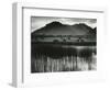 Landscape, Germany, 1960-Brett Weston-Framed Photographic Print