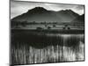 Landscape, Germany, 1960-Brett Weston-Mounted Photographic Print