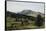 Landscape, Hill and Dale-Albert Bierstadt-Framed Stretched Canvas