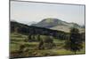 Landscape, Hill and Dale-Albert Bierstadt-Mounted Giclee Print