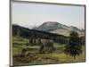 Landscape - Hill and Dale-Albert Bierstadt-Mounted Giclee Print