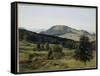 Landscape - Hill and Dale-Albert Bierstadt-Framed Stretched Canvas