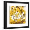 Landscape I-Irena Orlov-Framed Art Print