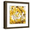 Landscape I-Irena Orlov-Framed Art Print