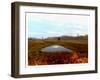 Landscape I-Danielle Harrington-Framed Art Print