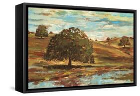 Landscape I-Gregory Gorham-Framed Stretched Canvas