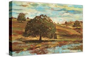 Landscape I-Gregory Gorham-Stretched Canvas