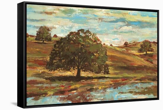 Landscape I-Gregory Gorham-Framed Stretched Canvas