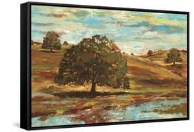 Landscape I-Gregory Gorham-Framed Stretched Canvas