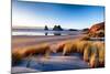 Landscape Image of Sunset at Coastline in New Zealand-Skyimages-Mounted Photographic Print