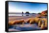 Landscape Image of Sunset at Coastline in New Zealand-Skyimages-Framed Stretched Canvas