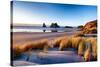 Landscape Image of Sunset at Coastline in New Zealand-Skyimages-Stretched Canvas