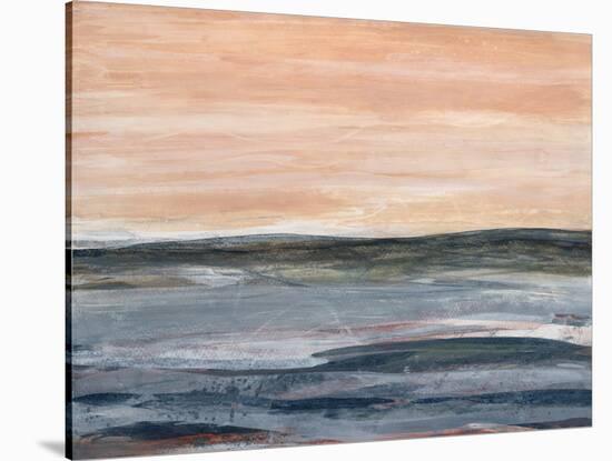 Landscape Impression 13-Jeannie Sellmer-Stretched Canvas