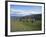 Landscape in Aurlandsdalen, Sogn Og Fjordane, Norway, Scandinavia-Hans Peter Merten-Framed Photographic Print