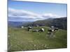 Landscape in Aurlandsdalen, Sogn Og Fjordane, Norway, Scandinavia-Hans Peter Merten-Mounted Photographic Print