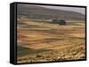 Landscape in Autumn, Near Teruel, Aragon, Spain-Michael Busselle-Framed Stretched Canvas