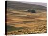 Landscape in Autumn, Near Teruel, Aragon, Spain-Michael Busselle-Stretched Canvas