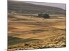 Landscape in Autumn, Near Teruel, Aragon, Spain-Michael Busselle-Mounted Photographic Print