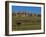 Landscape in Badlands National Park-Layne Kennedy-Framed Photographic Print